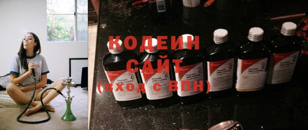 твердый Гусев