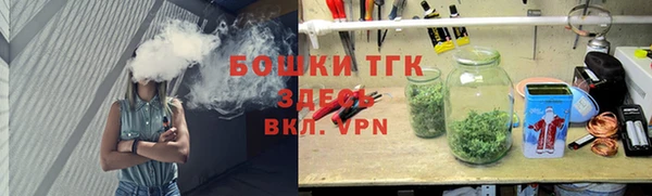 твердый Гусев
