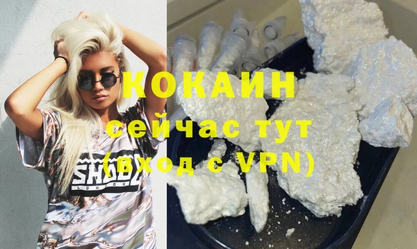 твердый Гусев