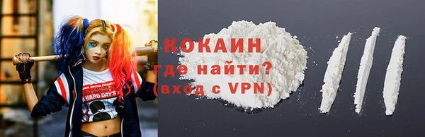 твердый Гусев