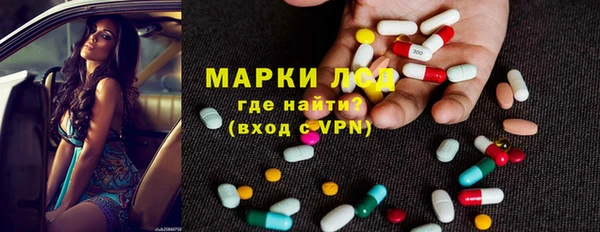твердый Гусев