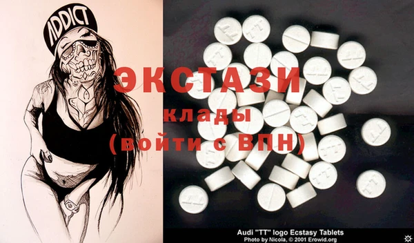 твердый Гусев