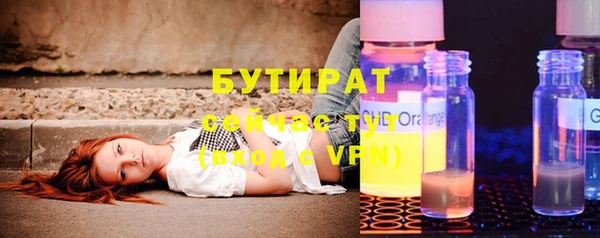 твердый Гусев