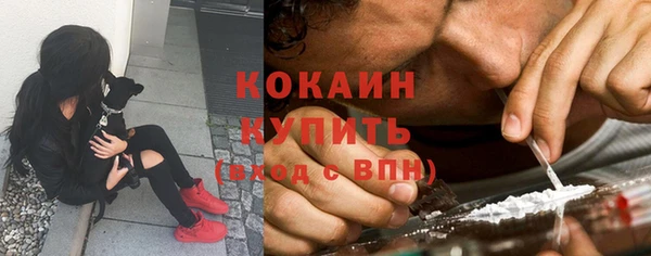 стафф Шали