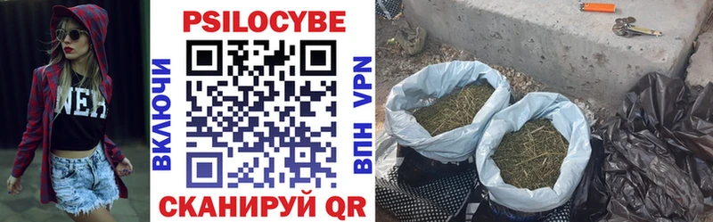 цена   Пионерский  Псилоцибиновые грибы мицелий 
